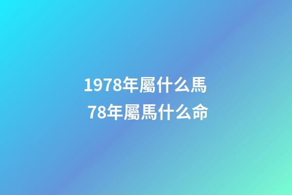 1978年屬什么馬 78年屬馬什么命